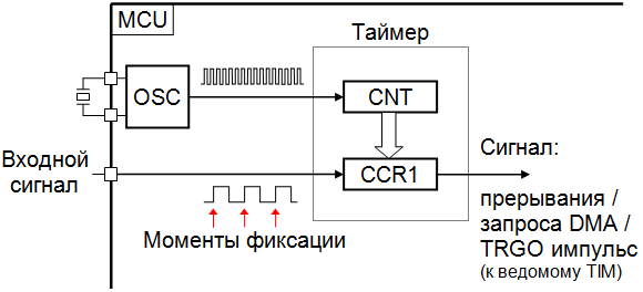Структурная схема простейшего частотомера на таймере MCU STM32.